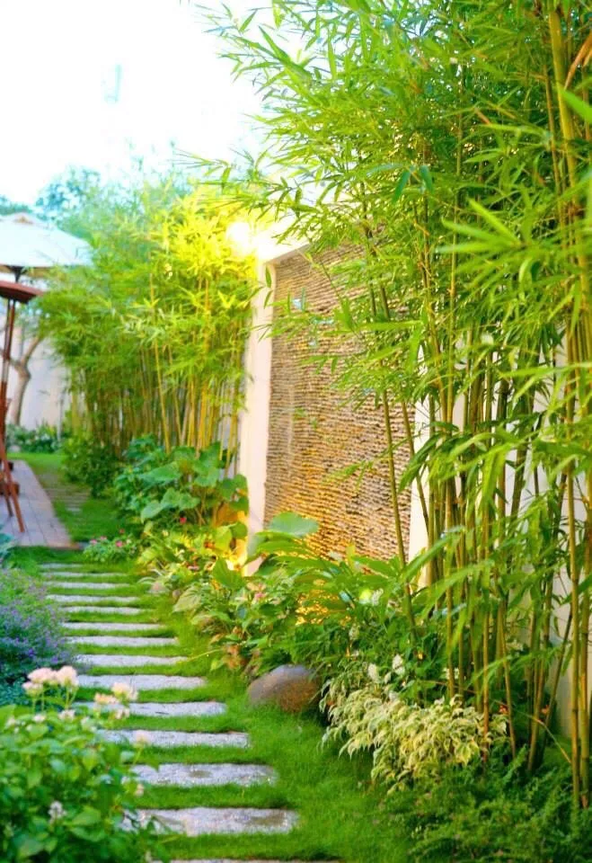 Local lawn care service in Waldorf, MD - Authentic Seasonal Services