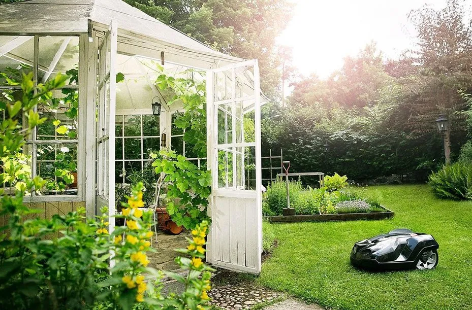 Local outdoor landscaping for beautiful yards across Carlsbad, NM - Auto Mow Co