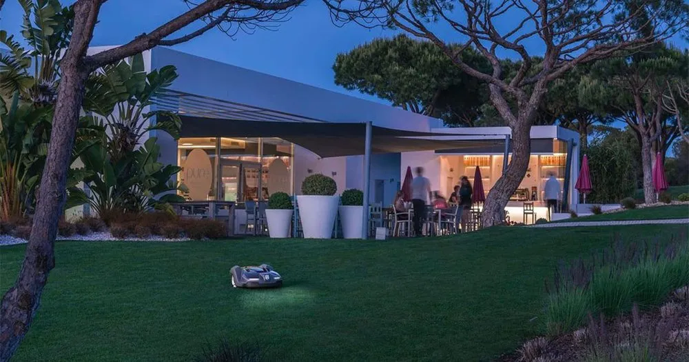 Expert yard cleanup service in Carlsbad, NM by Auto Mow Co