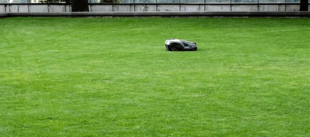 Trusted garden landscaping in Carlsbad, NM - Auto Mow Co