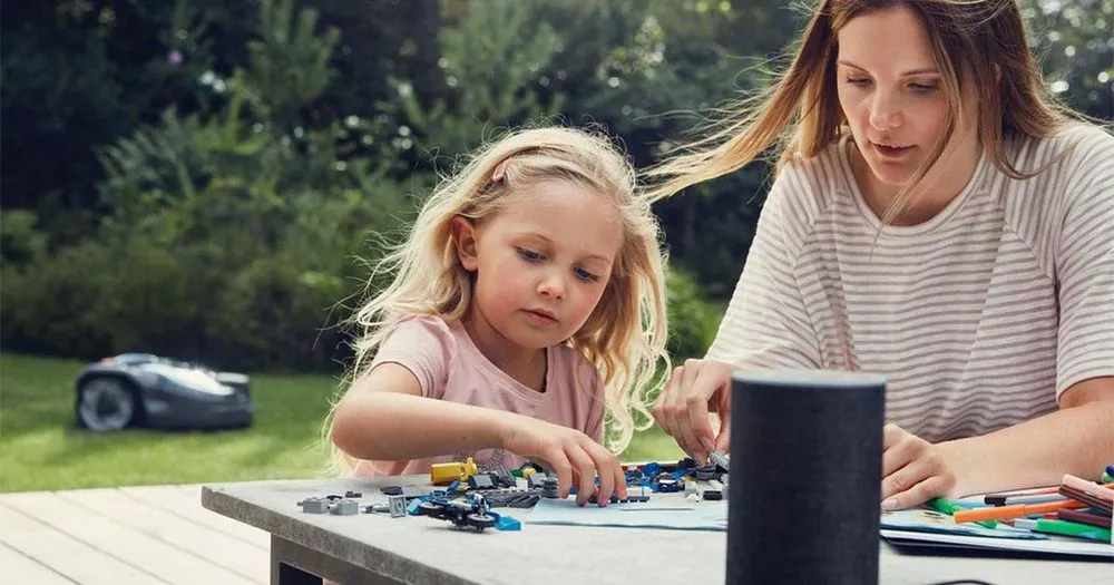 Custom yard cleanup service experts serving Carlsbad, NM - Auto Mow Co