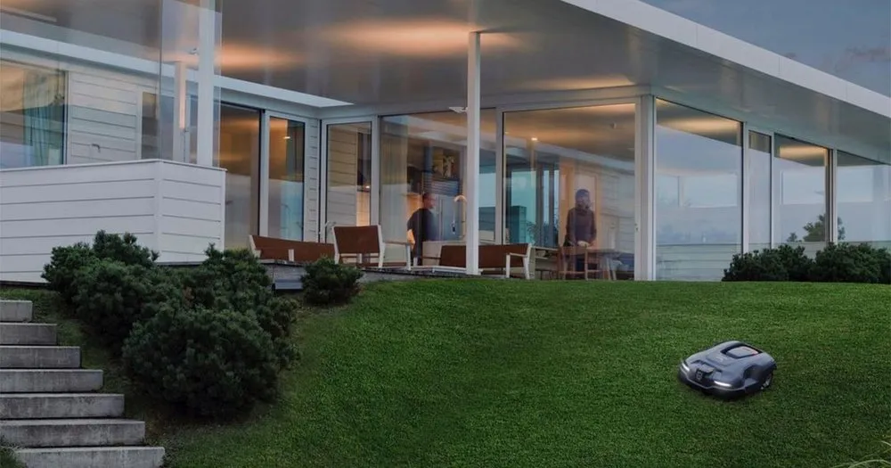 Expert yard cleanup service experts serving Carlsbad, NM - Auto Mow Co