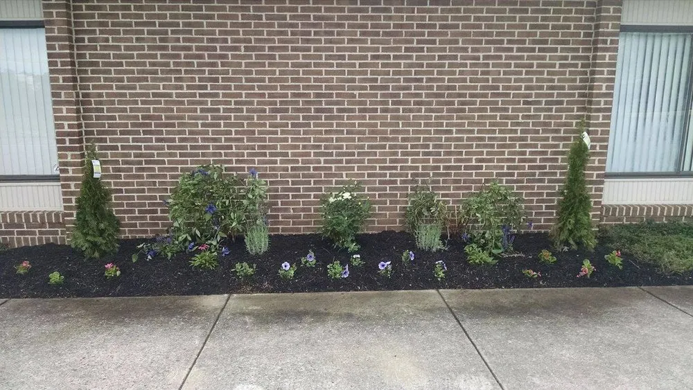 Reliable lawn mowing service in Martinsburg, WV by Automated Mulching & Lawn Care