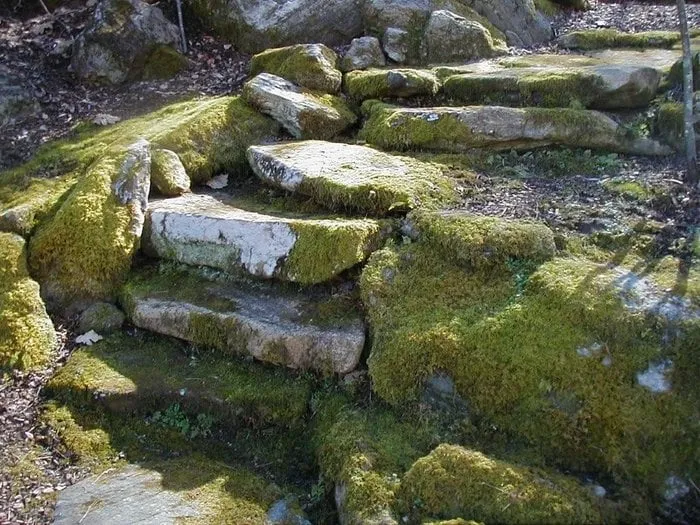 Local landscape design for outdoor upgrades across Mars Hill, NC - Autrey Tree & Landscaping