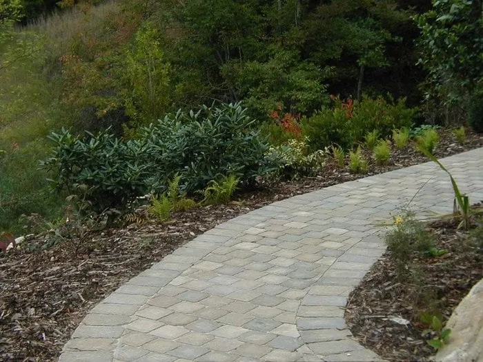 Reliable yard cleanup service near you across Mars Hill, NC - Autrey Tree & Landscaping