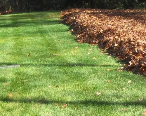 Top-rated residential landscaping for beautiful yards in Garrison, ND by Autumn Cleanup