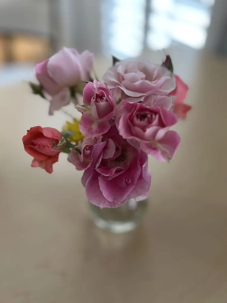 Top-rated yard maintenance in Woodstock, GA - Autumn Hill Nursery