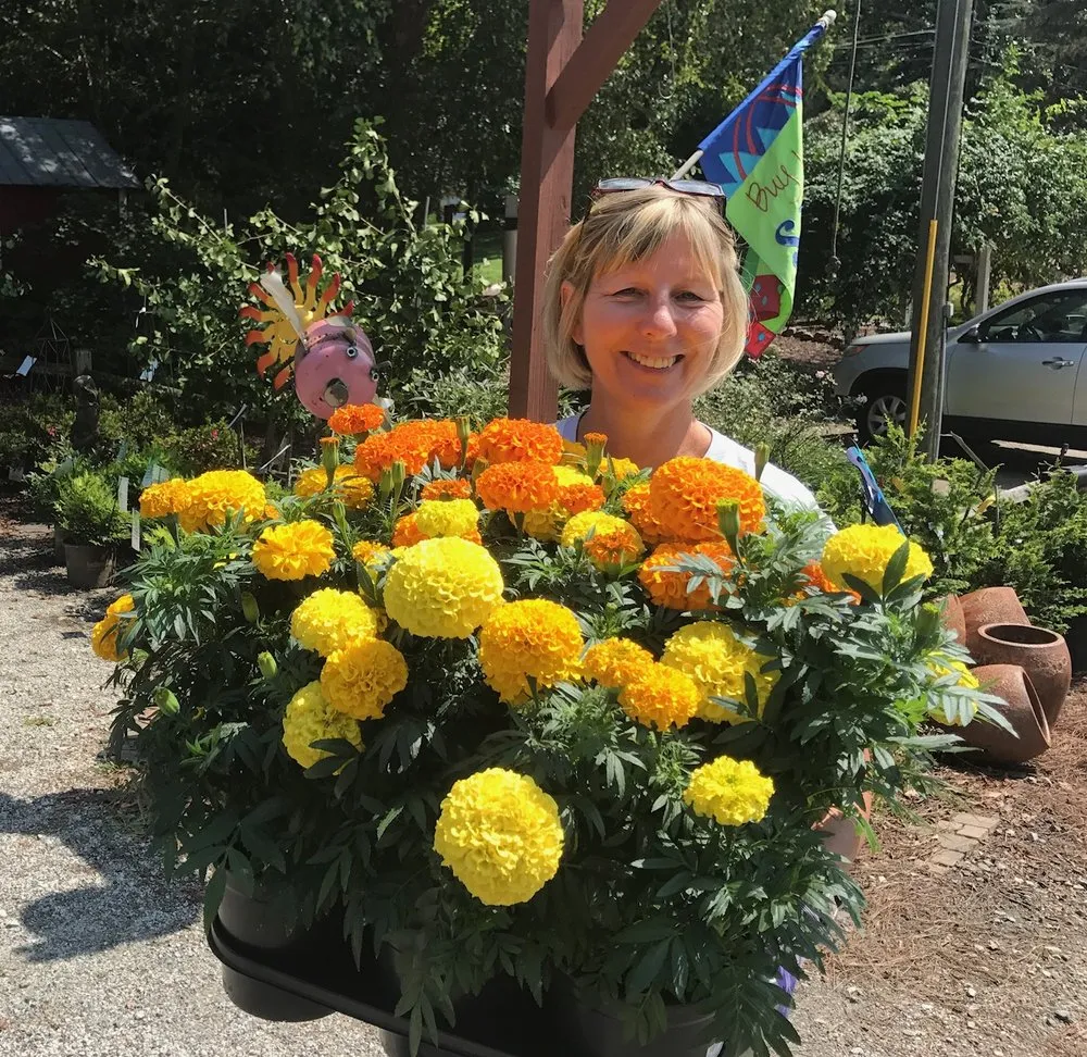 Local garden landscaping in Woodstock, GA by Autumn Hill Nursery