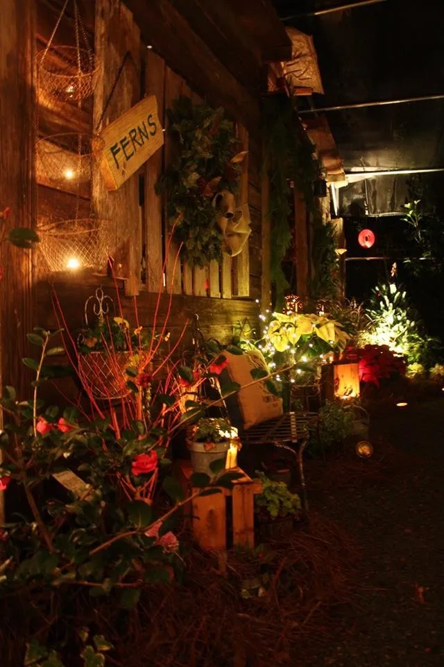 Professional outdoor landscaping with custom design in Woodstock, GA by Autumn Hill Nursery