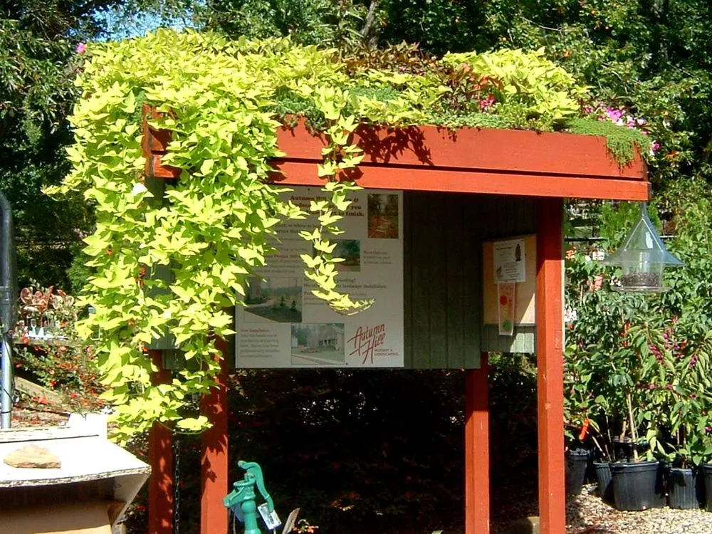 Top-rated yard cleanup service in Woodstock, GA - Autumn Hill Nursery