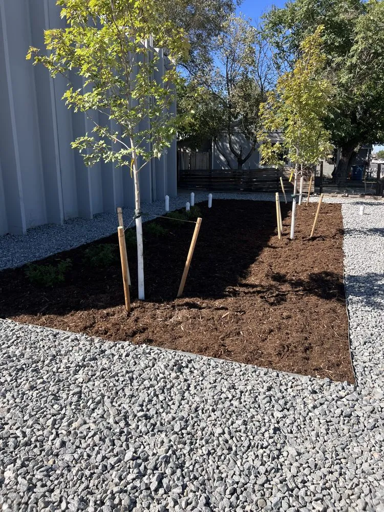 Affordable outdoor landscaping experts serving Thornton, CO - Autumn Lawn & Landscaping