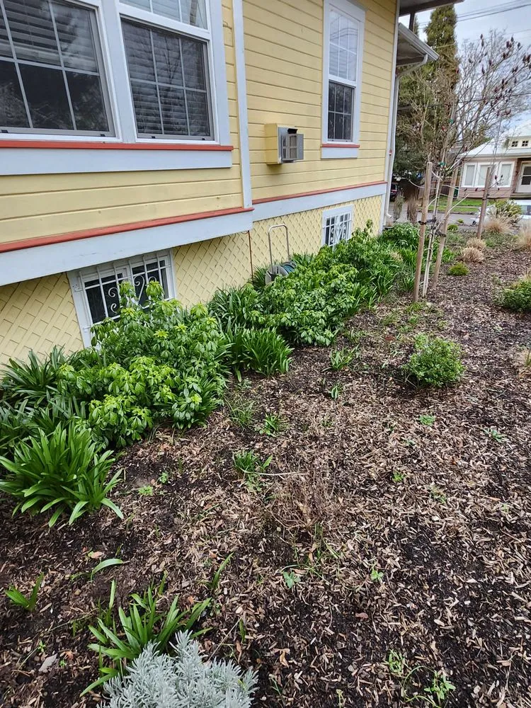 Top-rated outdoor landscaping in Saint Paul, OR by Autumn Leaf Landscaping
