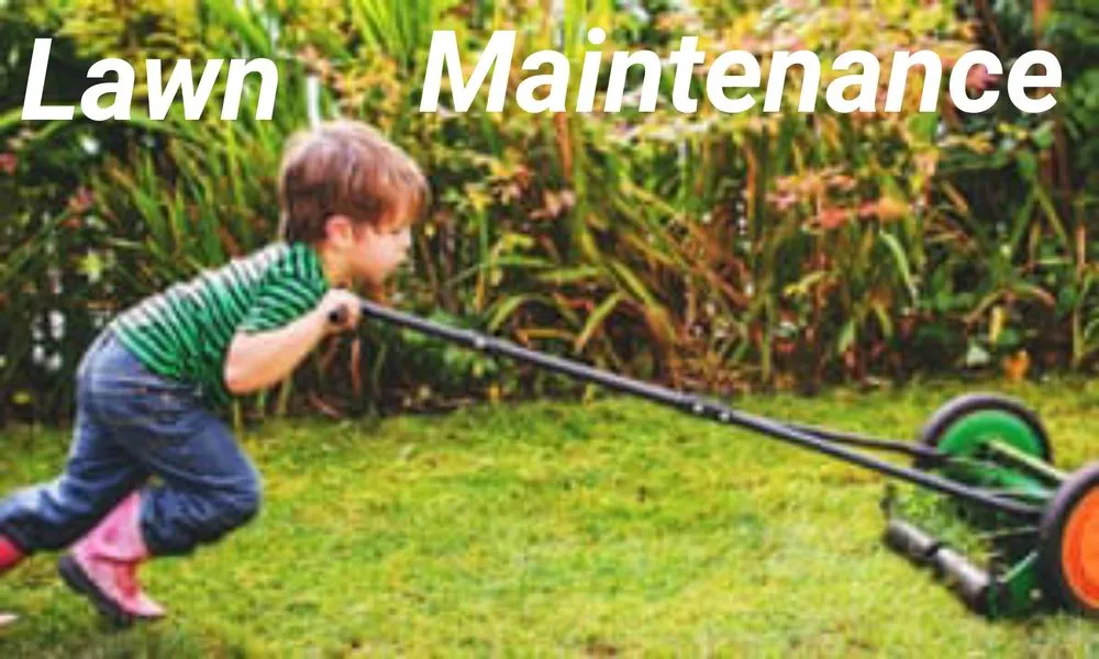 Trusted garden landscaping near you across Lindenhurst, NY - Autumn Leaves Landscape and Design