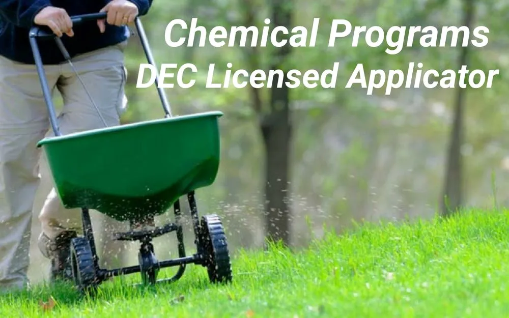 Expert outdoor landscaping near you across Lindenhurst, NY - Autumn Leaves Landscape and Design