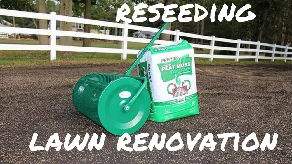 Reliable lawn mowing service in Lindenhurst, NY by Autumn Leaves Landscape and Design