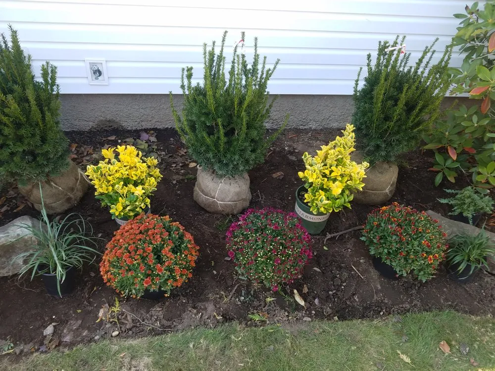 Top-rated landscaping services for homes in Lindenhurst, NY by Autumn Leaves Landscape and Design