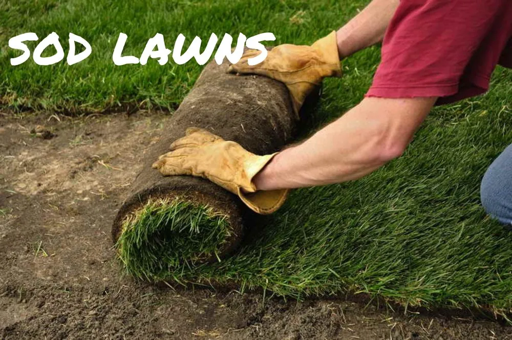 Professional landscaping services near you across Lindenhurst, NY - Autumn Leaves Landscape and Design