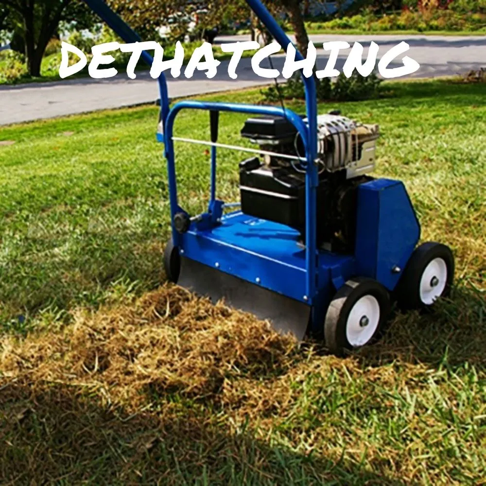 Local garden landscaping for year-round maintenance in Lindenhurst, NY by Autumn Leaves Landscape and Design