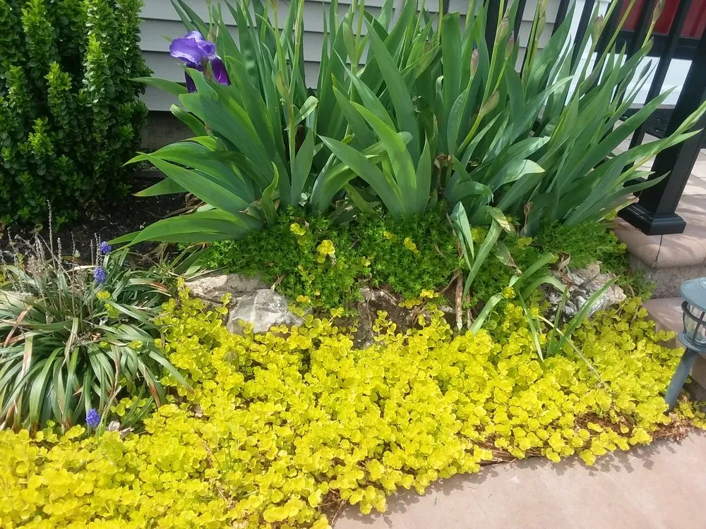 Top-rated yard cleanup service with custom design in Lindenhurst, NY by Autumn Leaves Landscape and Design