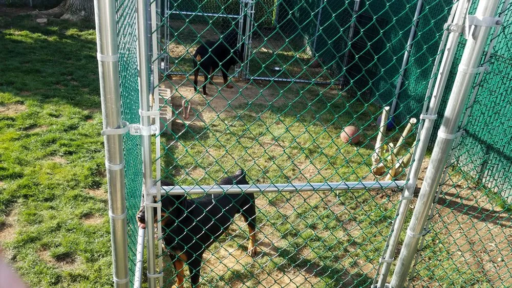 Expert lawn mowing service in Lindenhurst, NY by Autumn Leaves Landscape and Design