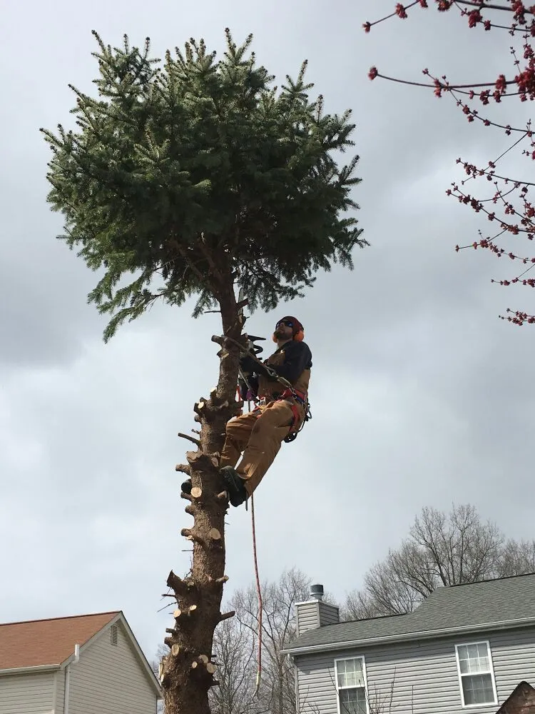 Custom residential landscaping in Columbus, OH by Autumn Oak Landscaping