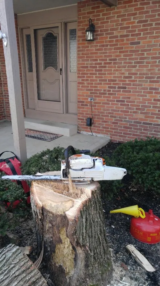 Trusted yard cleanup service in Columbus, OH - Autumn Oak Landscaping