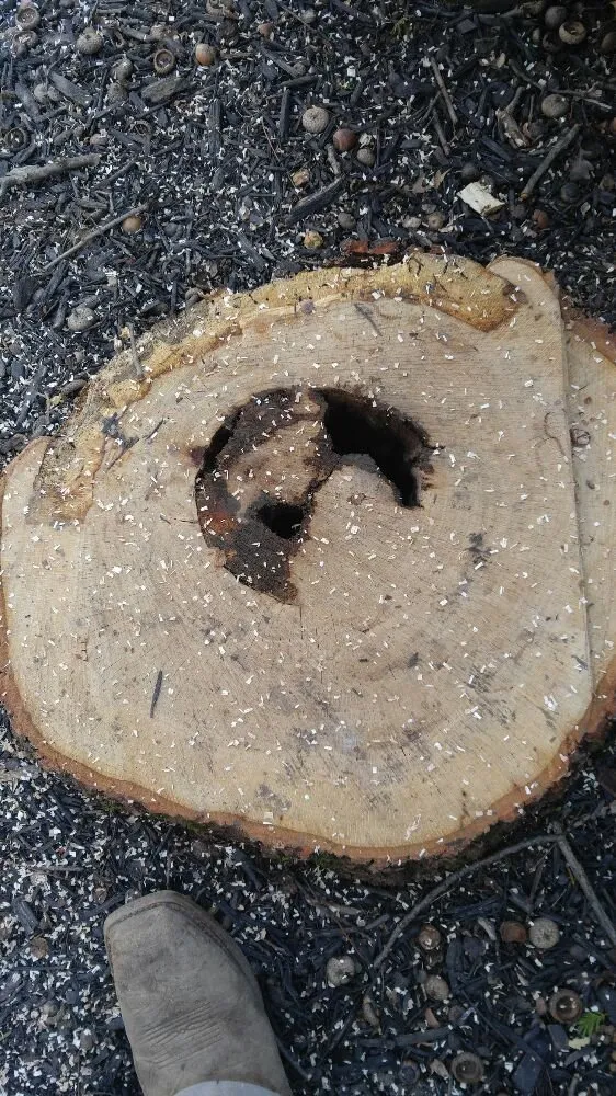 Trusted landscape design for beautiful yards in Columbus, OH by Autumn Oak Landscaping