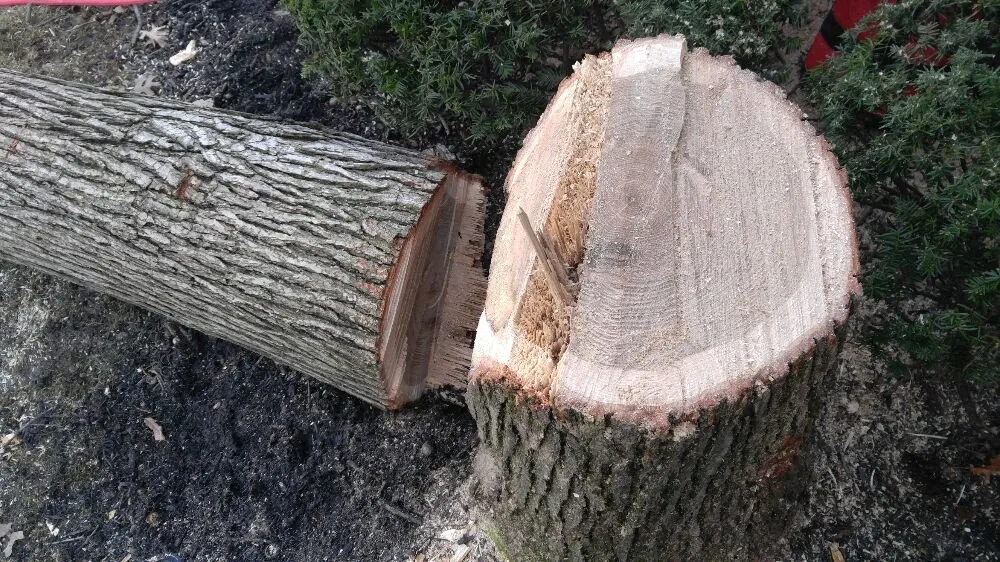 Local landscaping services for beautiful yards in Columbus, OH by Autumn Oak Landscaping