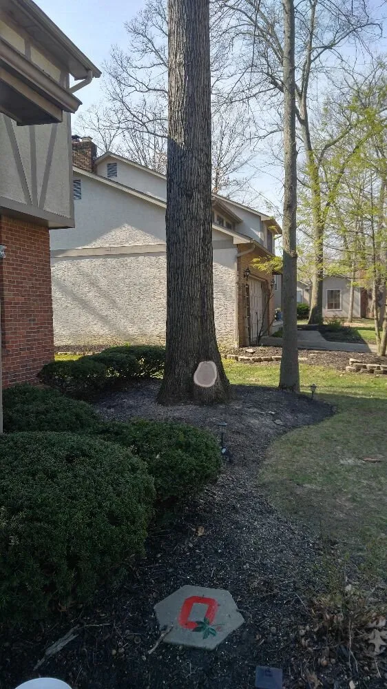 Affordable residential landscaping for outdoor upgrades in Columbus, OH by Autumn Oak Landscaping