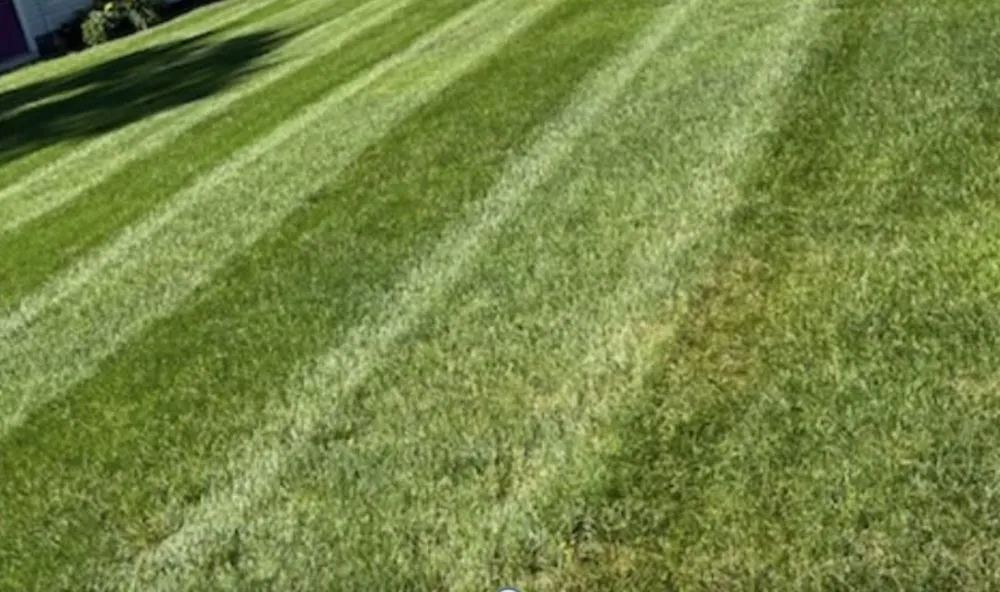 Reliable landscaping services in Berwick, ME by Autumn Pine Lawn Care