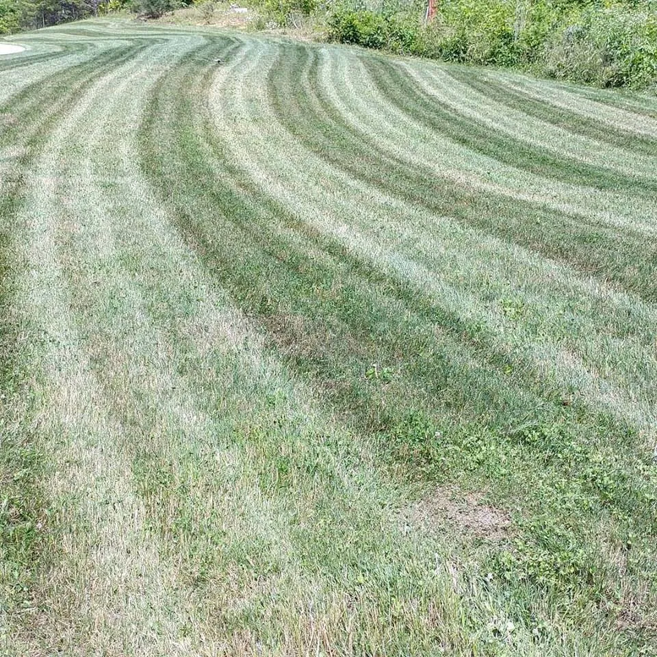 Affordable lawn care service for year-round maintenance across Elizabethton, TN - Autumn Ridge Lawn and Landscape