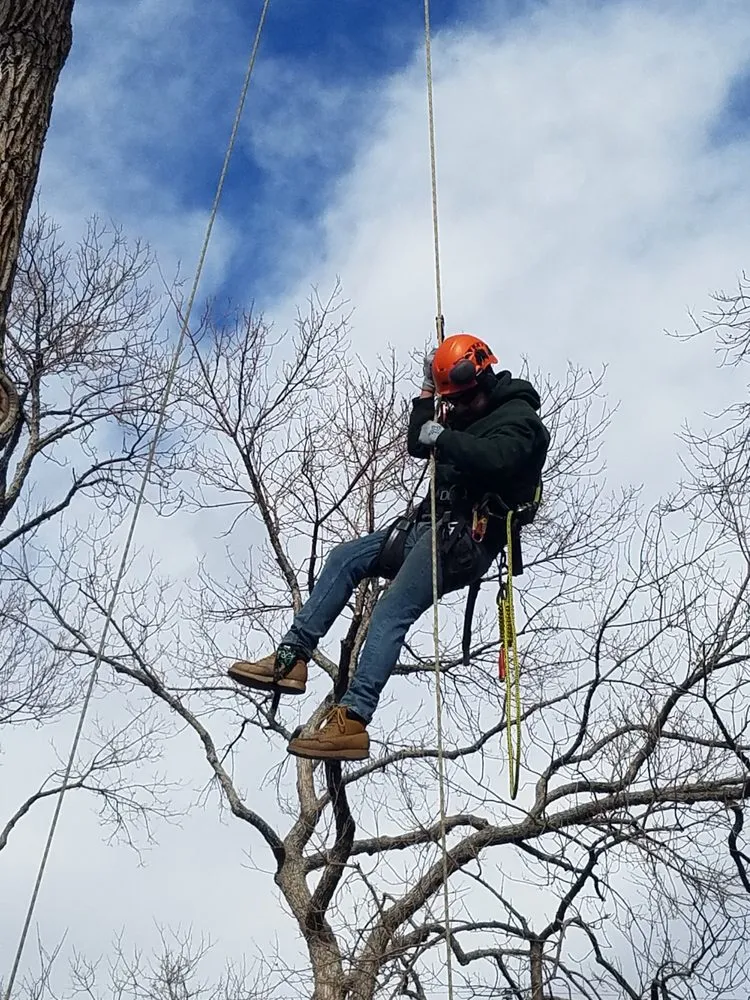 Local lawn mowing service in Golden, CO - Autumn Tree, Lawn and Landscape