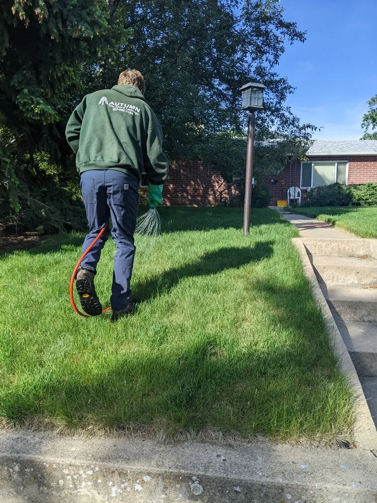 Local garden landscaping for outdoor upgrades in Golden, CO by Autumn Tree, Lawn and Landscape