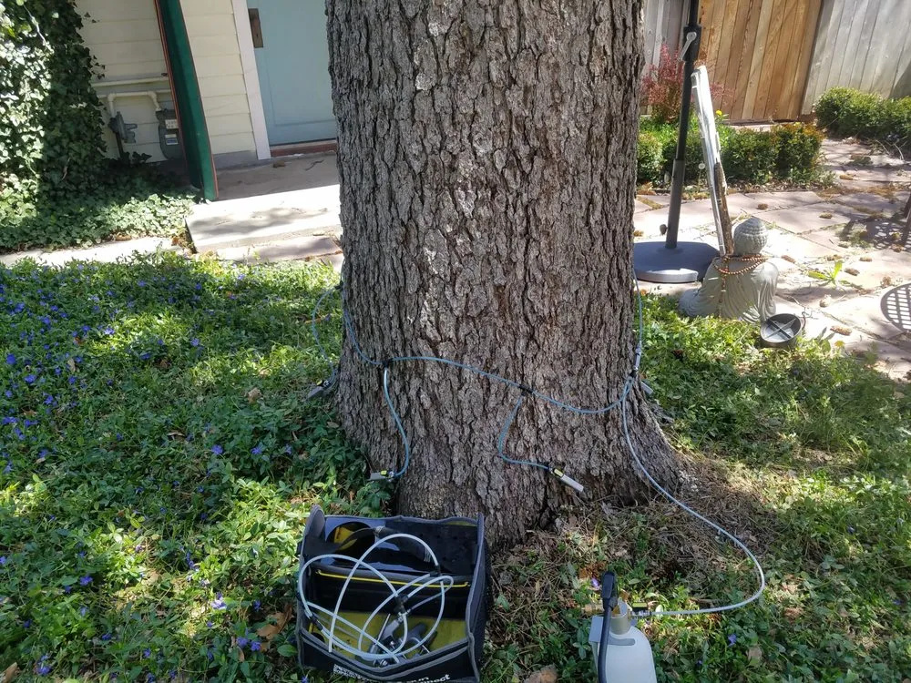 Custom landscape installation experts serving Golden, CO - Autumn Tree, Lawn and Landscape