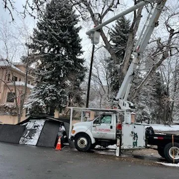 Reliable outdoor landscaping experts serving Golden, CO - Autumn Tree, Lawn and Landscape