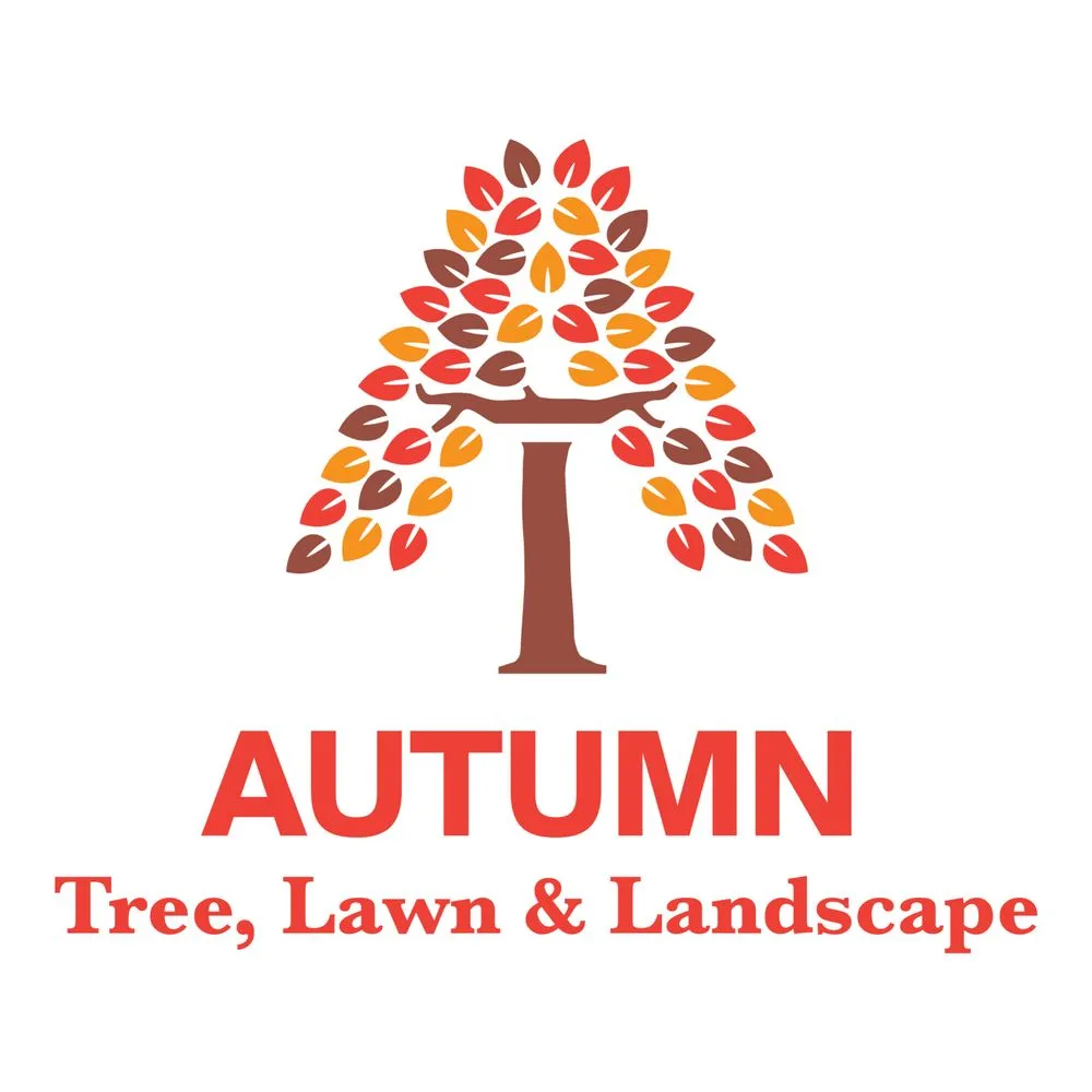 Trusted yard maintenance experts serving Golden, CO - Autumn Tree, Lawn and Landscape