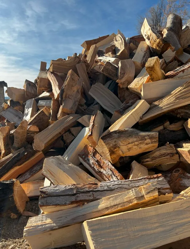 Professional residential landscaping near you across Golden, CO - Autumn Tree, Lawn and Landscape