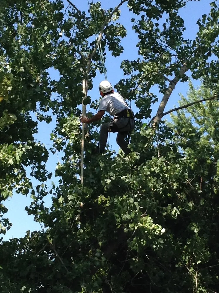 Local lawn mowing service for homes across Golden, CO - Autumn Tree, Lawn and Landscape