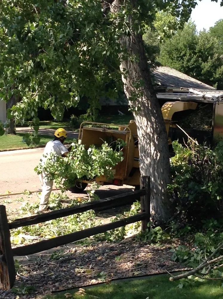 Custom yard cleanup service experts serving Golden, CO - Autumn Tree, Lawn and Landscape