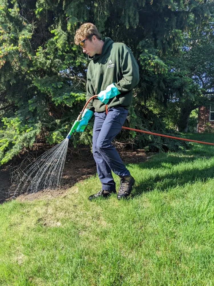 Custom outdoor landscaping experts serving Golden, CO - Autumn Tree, Lawn and Landscape