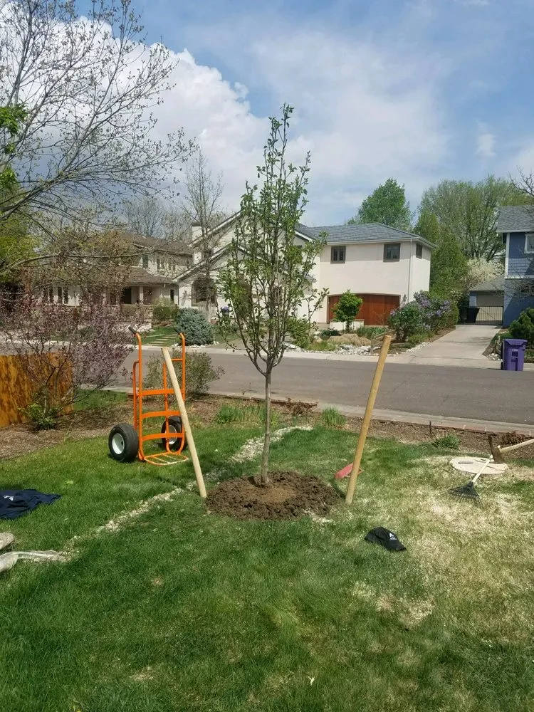 Professional landscape installation experts serving Golden, CO - Autumn Tree, Lawn and Landscape