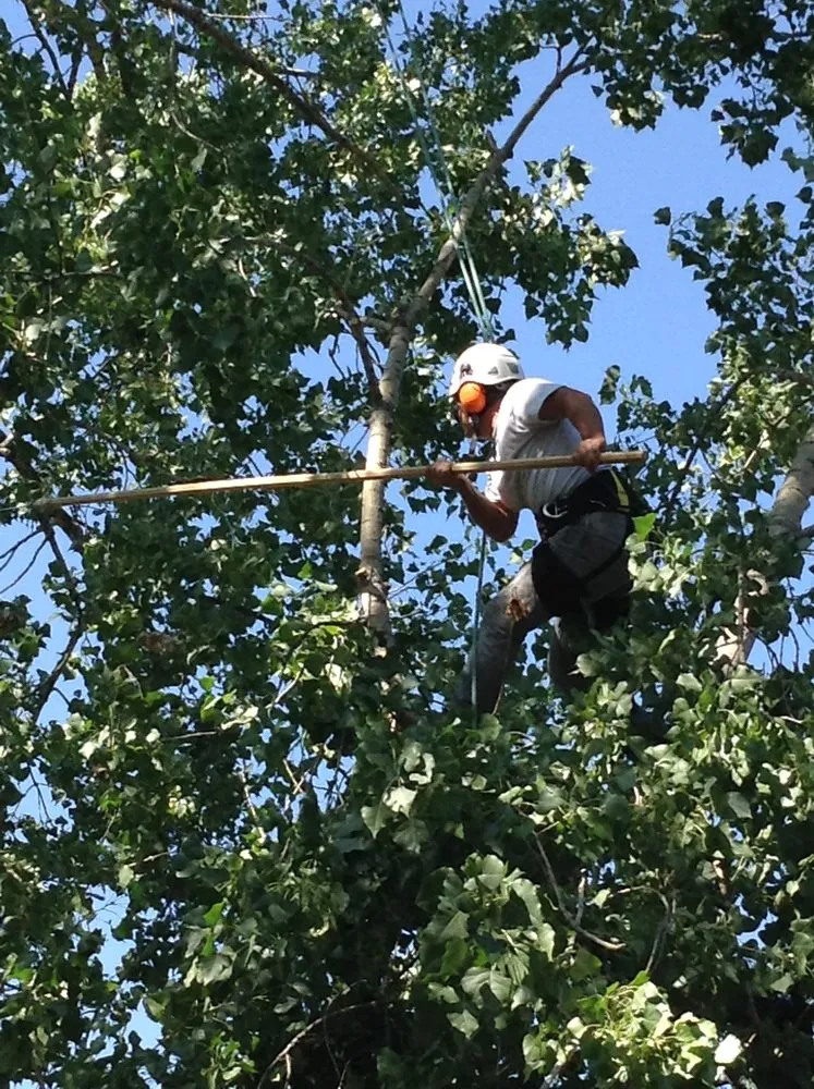 Local landscape design in Golden, CO by Autumn Tree, Lawn and Landscape