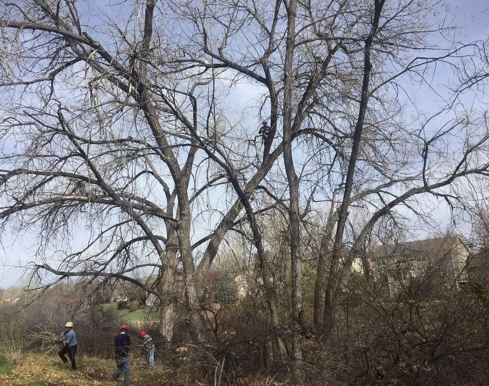 Professional garden landscaping in Golden, CO by Autumn Tree, Lawn and Landscape