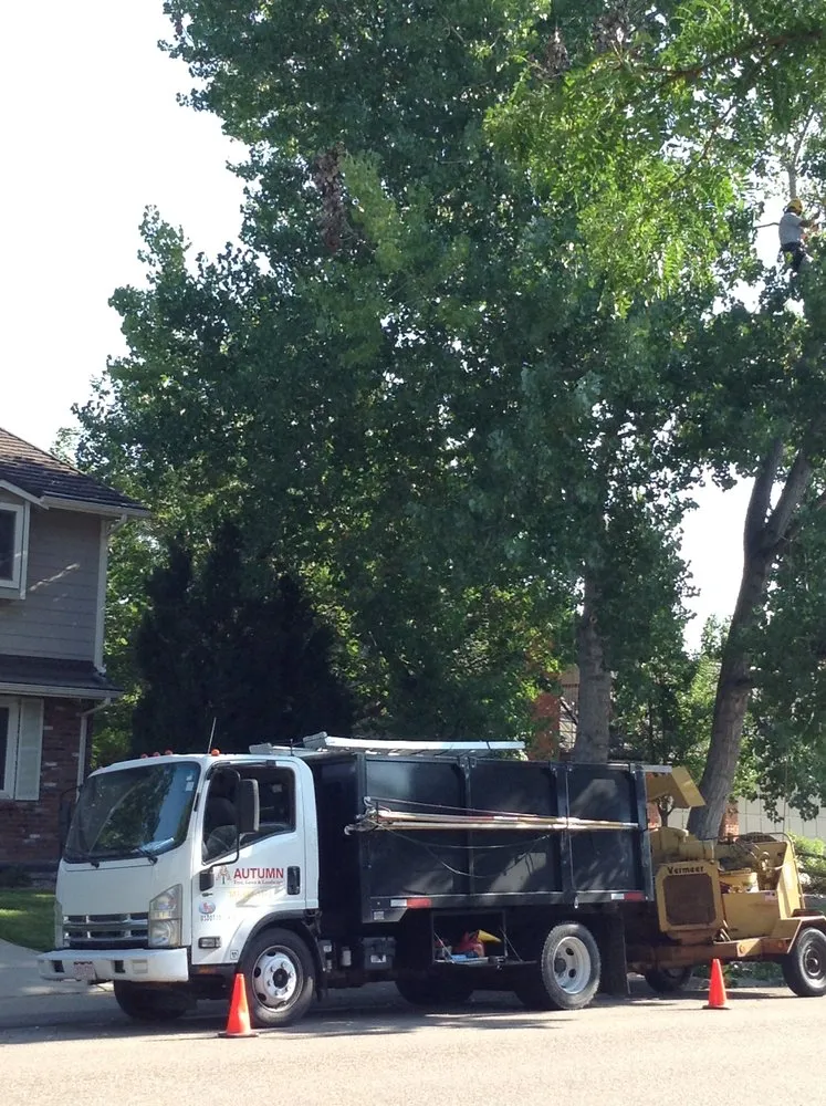 Local yard cleanup service for homes across Golden, CO - Autumn Tree, Lawn and Landscape