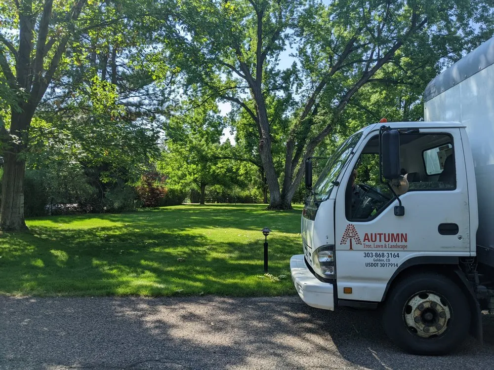 Local outdoor landscaping for beautiful yards across Golden, CO - Autumn Tree, Lawn and Landscape