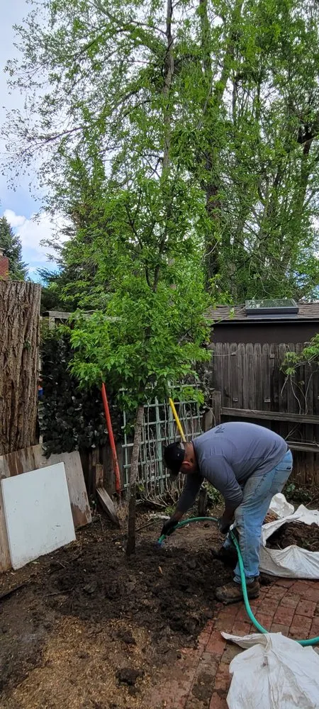 Local lawn mowing service in Golden, CO by Autumn Tree, Lawn and Landscape