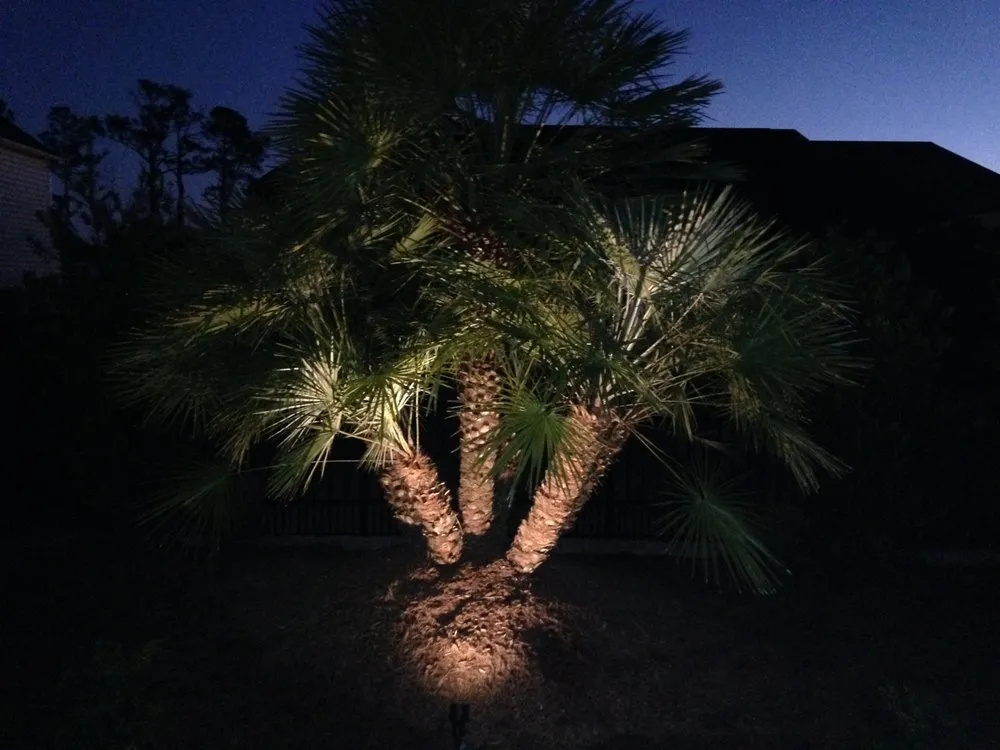 Top-rated yard maintenance in Murrells Inlet, SC - Autumn's Landscape and Tree Service