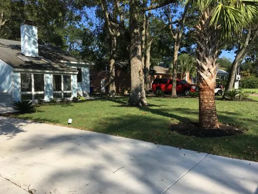 Autumn's Landscape and Tree Service