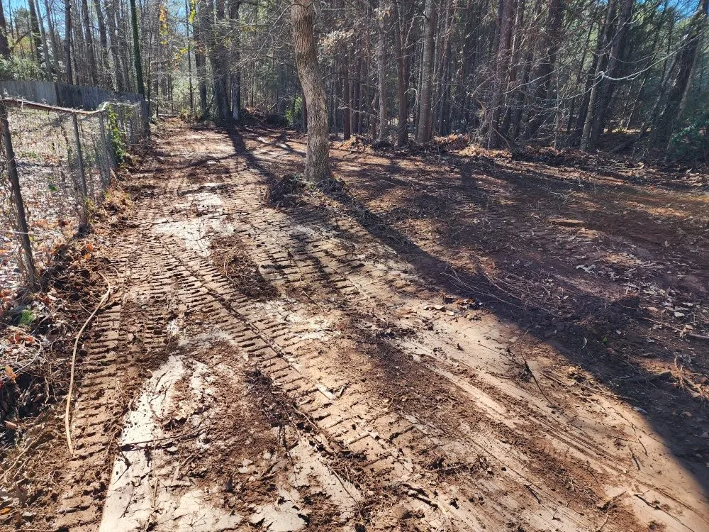 Affordable lawn mowing service in Stone Mountain, GA - Auxiliary Landscape