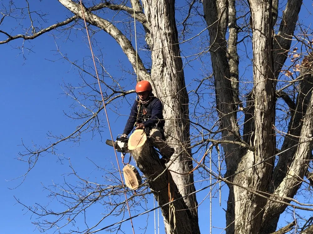 Trusted outdoor landscaping in Valhalla, NY - Av Angel’s V